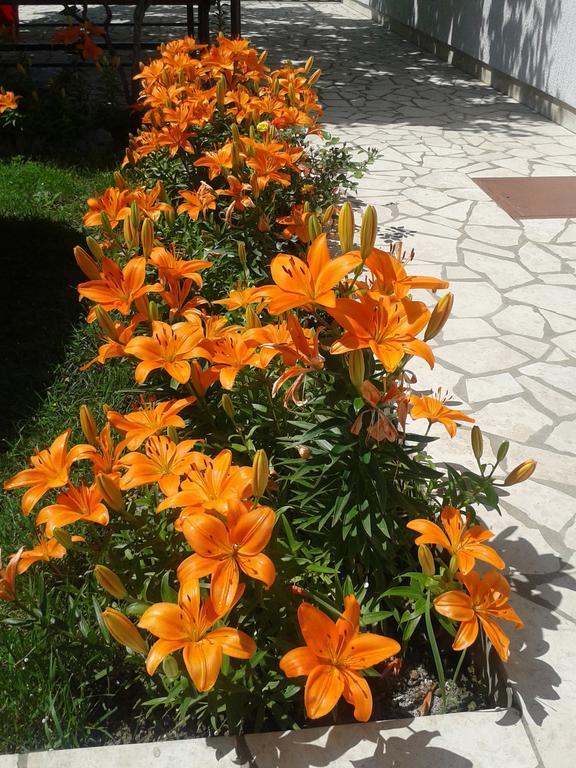 Apartment And Rooms Markovic Сень Номер фото